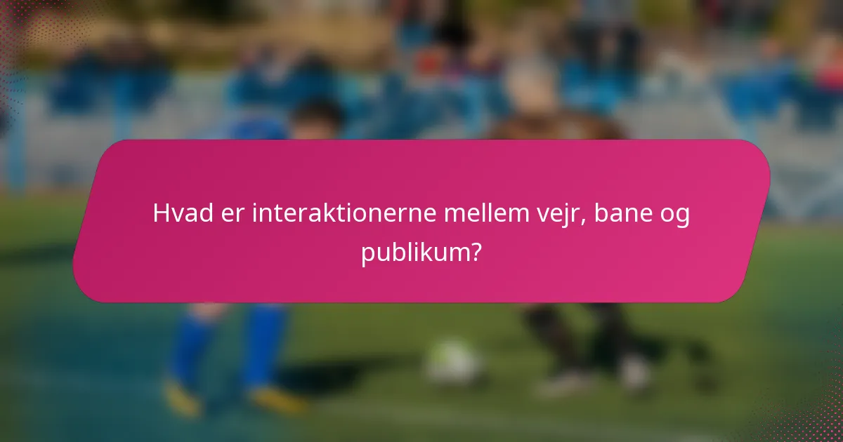 Hvad er interaktionerne mellem vejr, bane og publikum?